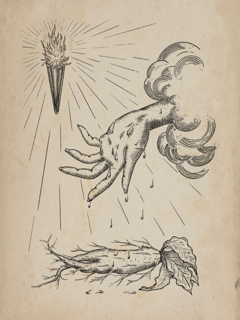 Hand fire Bile Noire