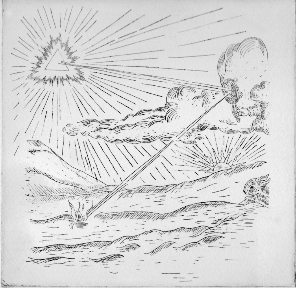 La Lumiere qui prend forme I Bile Noire