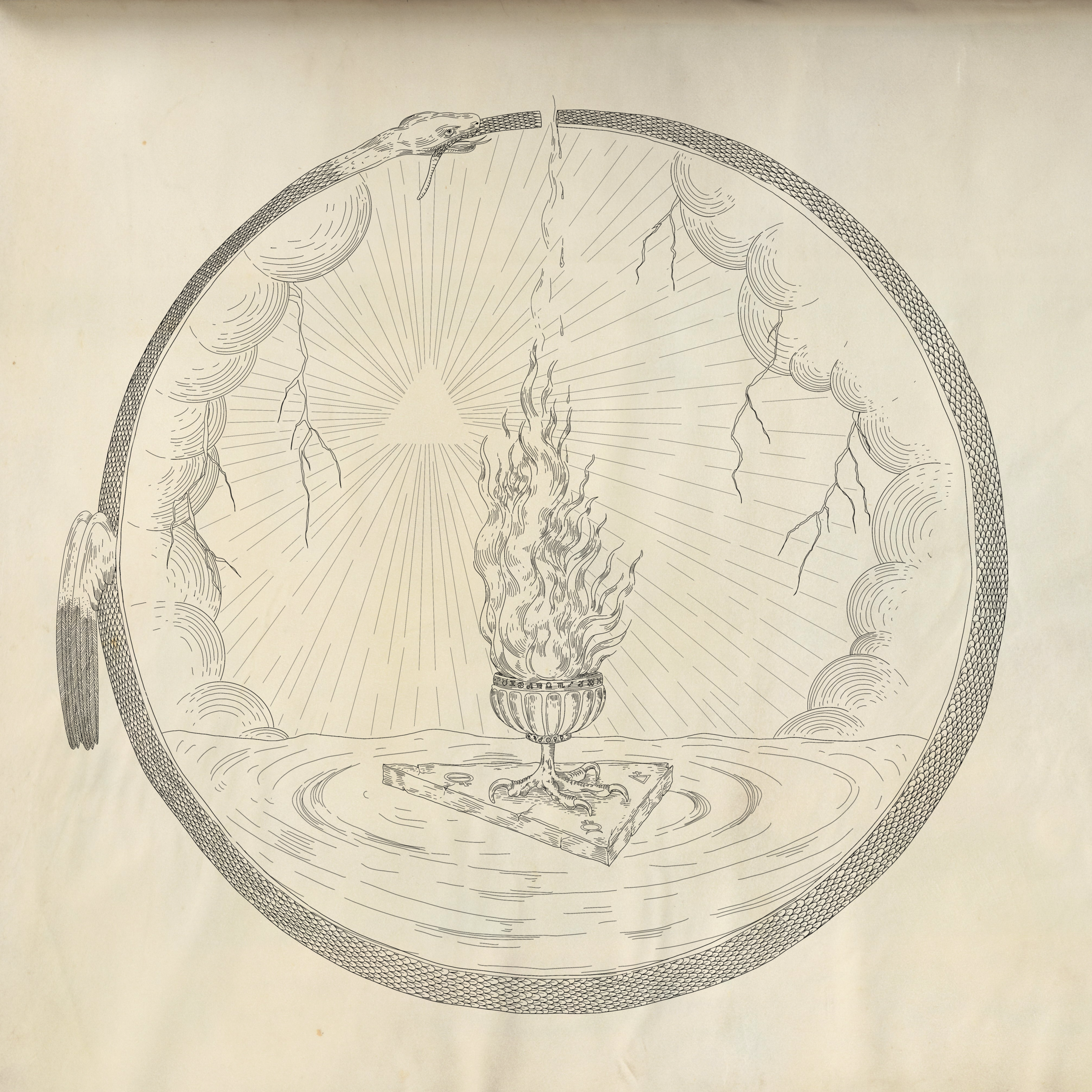 Forget in Fire Bile Noire