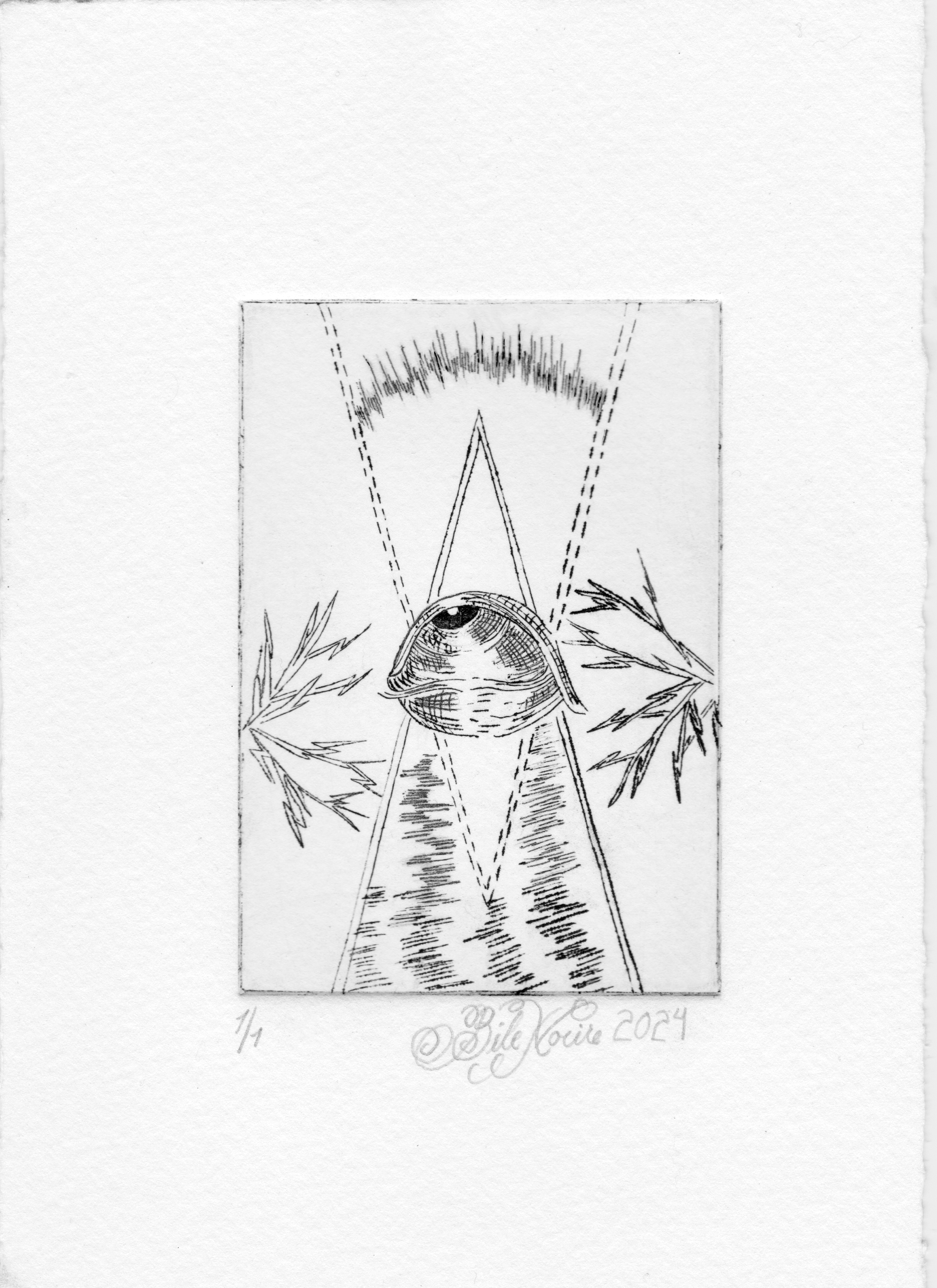 Intrusion de la Lumiere I Bile Noire