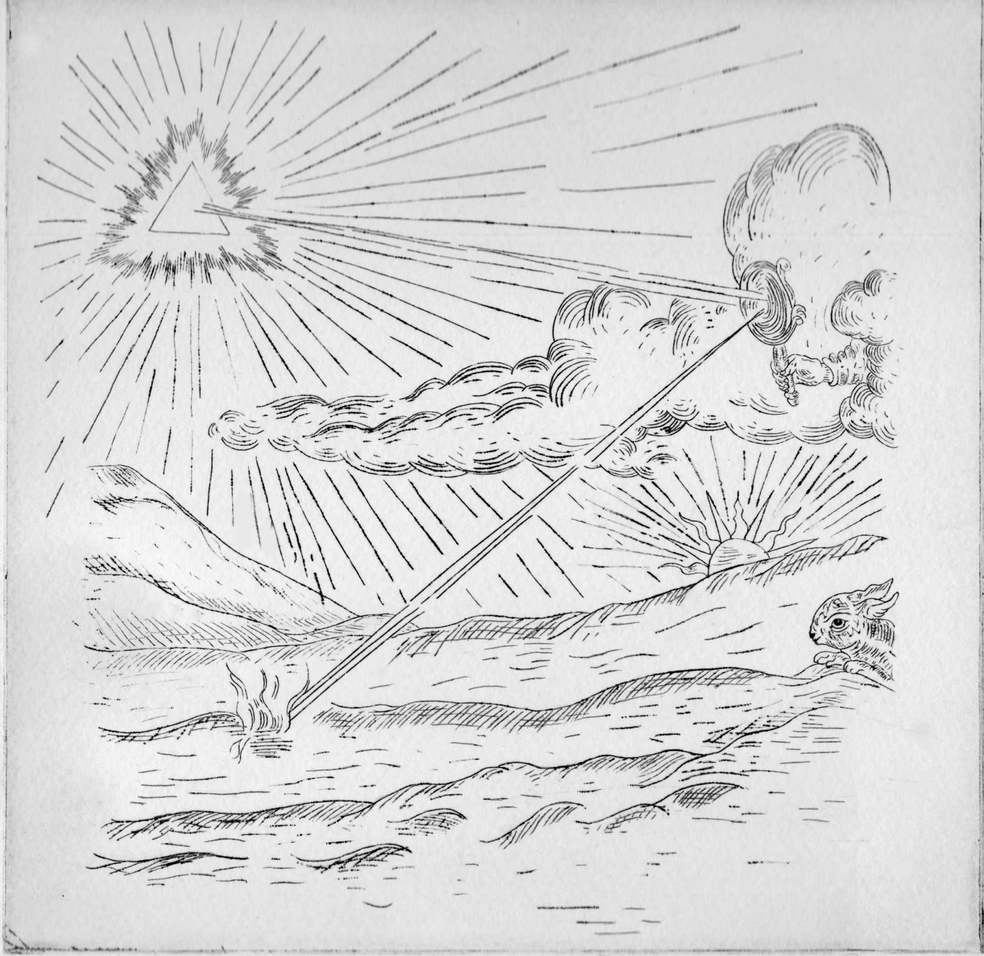 La Lumiere qui prend forme I Bile Noire